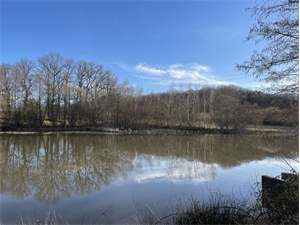 etang à la vente -   36270  EGUZON CHANTOME, surface 57142 m2 vente etang - UBI471173441